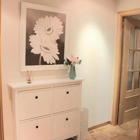 Apartmán Apartamento San Vicente *